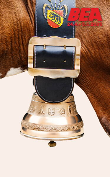 Sachentransport-Anhänger